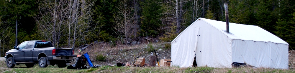 glassing for grizzly bear